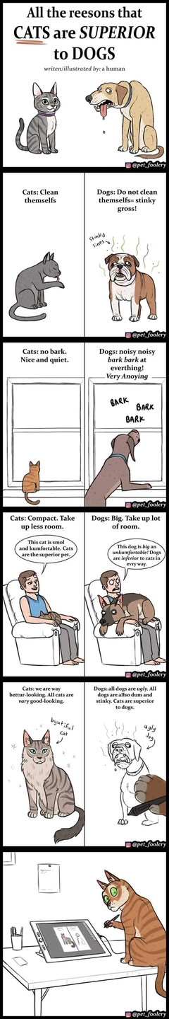 Chats vs chiens