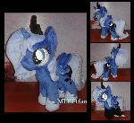 filly Luna with shoes and socks