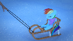 Dashie on sleigh