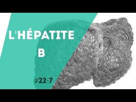 PNN 22.7 - L'Hépatite B