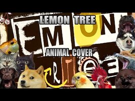 Fools Garden - Lemon Tree (Animal Cover)