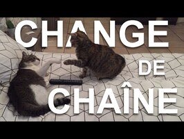 CHANGE DE CHAÎNE - PAROLE DE CHAT