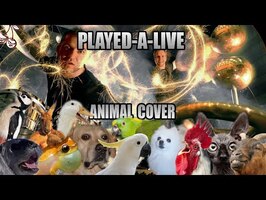 Safri Duo - Played-A-Live (Animal Cover)