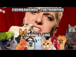 Chumbawamba - Tubthumping (Animal Cover)