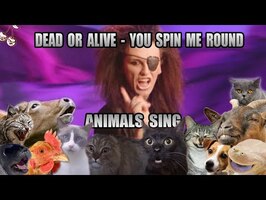 Dead Or Alive - You Spin Me Round (Animal Cover)