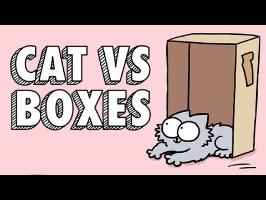 Cat vs Boxes: Simon's Cat