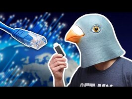 Pigeon vs Internet