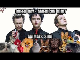 Green Day - American Idiot (Animal Cover)