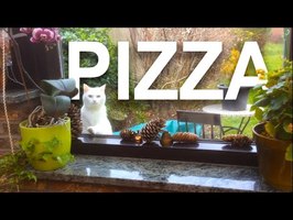 PIZZA - PAROLE DE CHAT