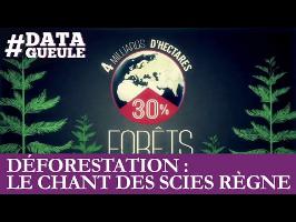 Déforestation : le chant des scies règne #DATAGUEULE 53
