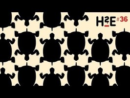 H2E#36 : huile de tortue