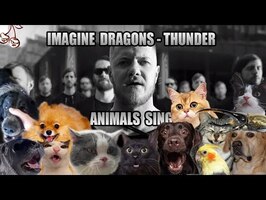 Imagine Dragons - Thunder (Animal Cover)