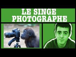 AMoK#19 - Le singe photographe