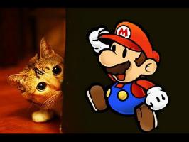 Mario fait peur aux chats
