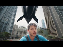 Ce qui rend Hong Kong aussi efficace que les baleines