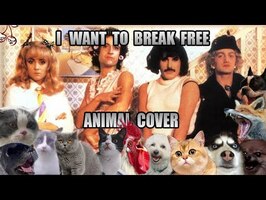 Queen - I Want To Break Free (Animal Cover)
