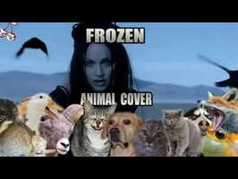 Madonna - Frozen (Animal Cover)