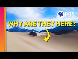 The Self-Organizing Secret of Sand Dunes