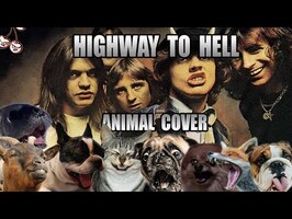 AC/DC - Highway To Hell (Animal Cover)