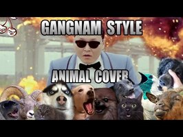 PSY - Gangnam Style (Animal Cover)