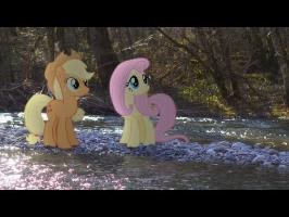 The River - MLP in Real Life Music Video