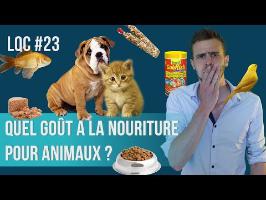 Quel est le goût de la nourriture pour animaux ? LQC #23