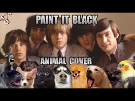 The Rolling Stones - Paint It Black (Animal Cover)
