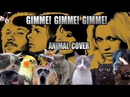 ABBA - GIMME! GIMME! GIMME! (Animal Cover)