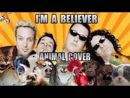 Smash Mouth - I'm A Believer (Animal Cover)