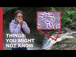 The Brain-Eating Amoebas of Kerosene Creek