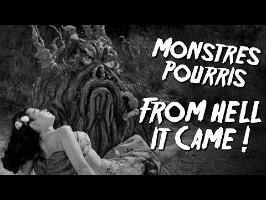 FROM HELL IT CAME - Monstres Pourris 3/11