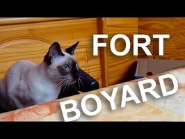 FORT BOYARD - PAROLE DE CHAT