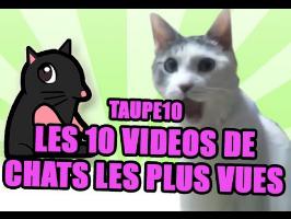 TOP 10 : Les vidéos de chats les plus vues de tous les temps !