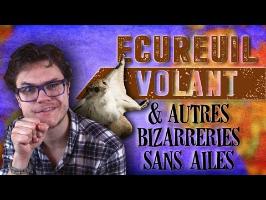 Écureuil Volant & Autres Bizarreries Sans Ailes