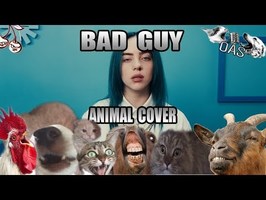 Billie Eilish - Bad Cat (Animal Cover) [Only_Animal_Sounds]