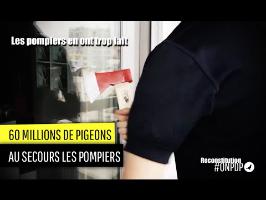 60 millions de Pigeons : les pompiers en font trop