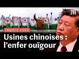 ENQUÊTE Comment la Chine a employé de force des Ouïgours dans des usines de poisson pour la France