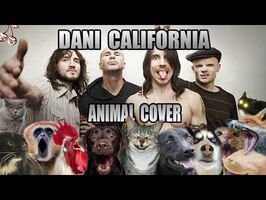 Red Hot Chili Peppers - Dani California (Animal Cover)