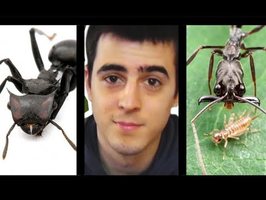 7 Types de fourmis incroyables ! - ABS#25