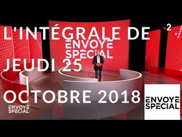 Envoyé spécial de jeudi 25 octobre 2018 (France 2)