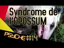 Le syndrome de l'opossum - PSYCHE #14