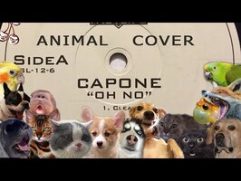 Capone - Oh No! (Animal Cover)