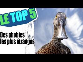 Le top 5 des phobies les plus étranges