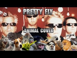 The Offspring - Pretty Fly (Animal Cover)