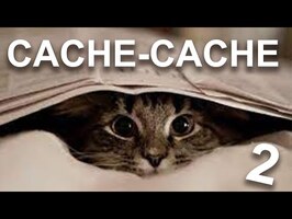 CACHE CACHE 2