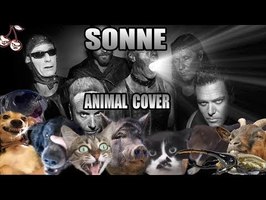 Rammstein - Sonne (Animal Cover)
