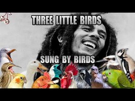 Bob Marley - Three Little Birds but it sung by birds only