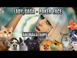 Lady Gaga - Poker Face (Animal Cover)