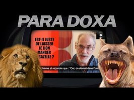 PARA DOXA - Vegan Antispéciste, Lion et Gazelle