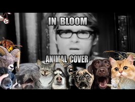 Nirvana - In Bloom (Animal Cover)